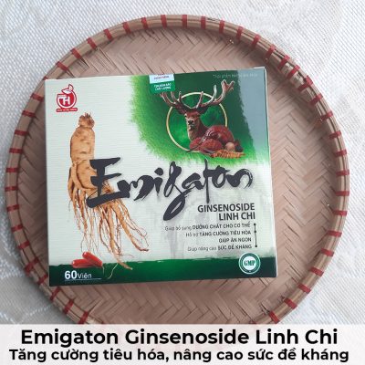 Emigaton ginsenoside linh chi - Tăng cường tiêu hóa, nâng cao sức đề kháng-1