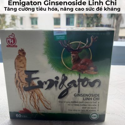 Emigaton ginsenoside linh chi - Tăng cường tiêu hóa, nâng cao sức đề kháng-14